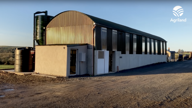 Buildings Focus: Converting to dairy with the aid of a hayshed and 5-bay slatted shed