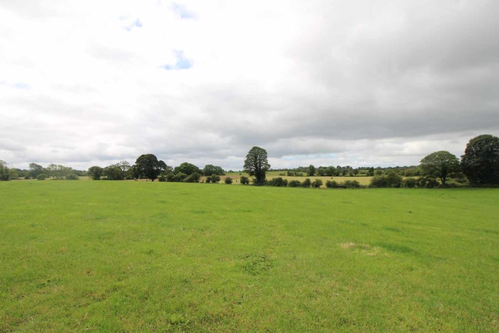 'Well worth a look' 65ac of Meath land offered for sale Agriland.ie