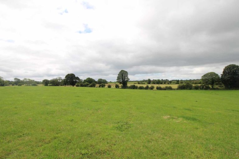 'Well worth a look' 65ac of Meath land offered for sale Agriland.ie