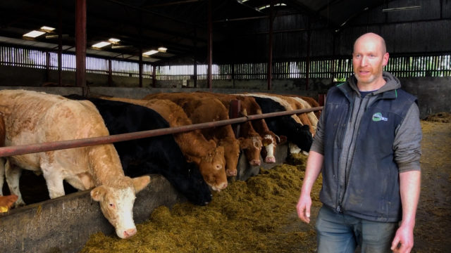 Split-calving strategy on 85-cow Kiltegan farm