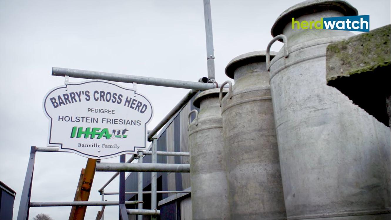 Banville family dairy farm management app Ireland Herdwatch Barry's Cross Wexford