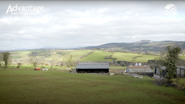 See inside the ABP demo beef farm in Co. Carlow