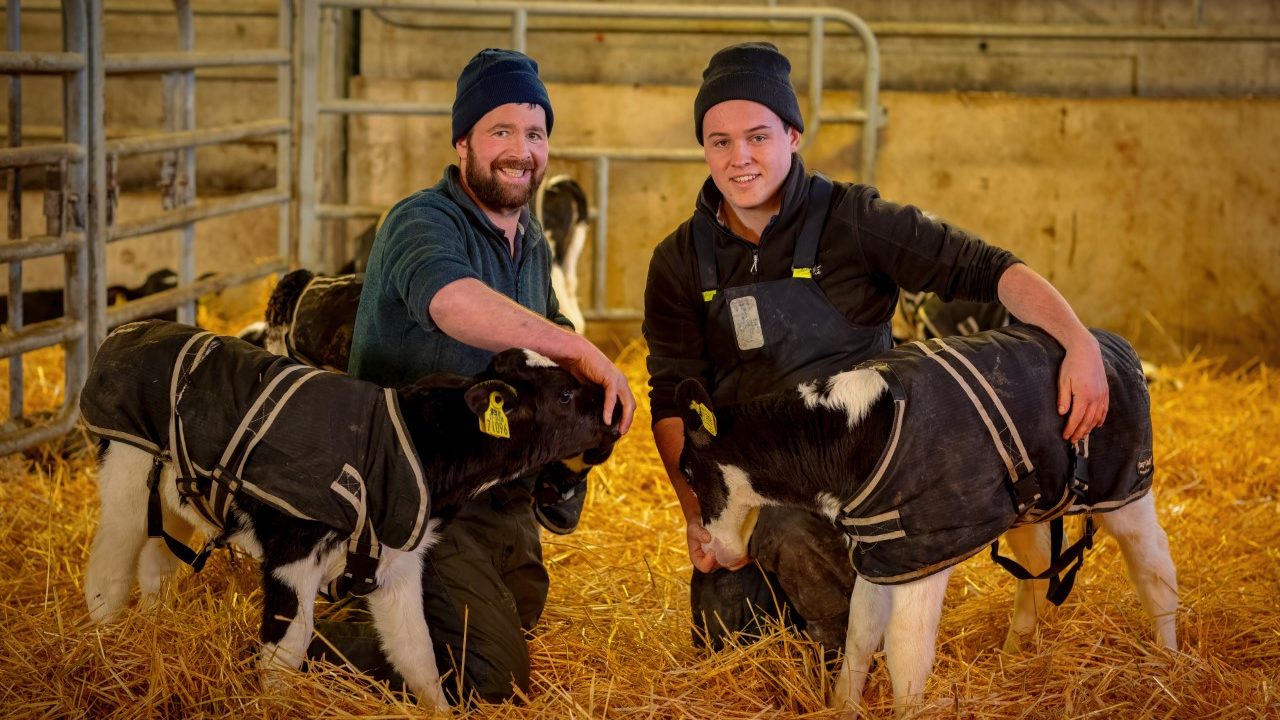 Optimising feed conversion efficiency on 150cow Carlow farm Agriland.ie