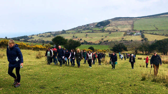 Agriland explores an organic hill farm in west Kerry