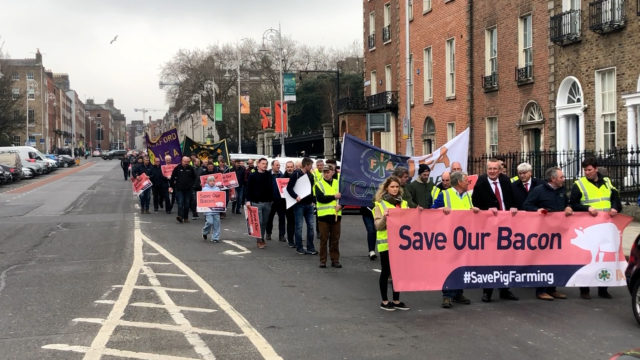 Agriland covers IFA pig protest at government buildings