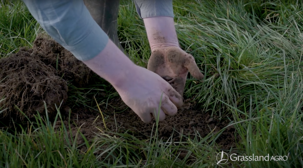 Teagasc Grass VESS Demonstration by Grassland Agro Agriland.ie