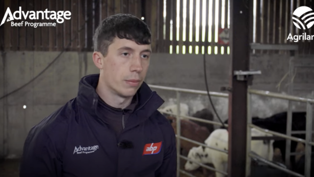 See inside ABP Demo Farm's calf rearing operation