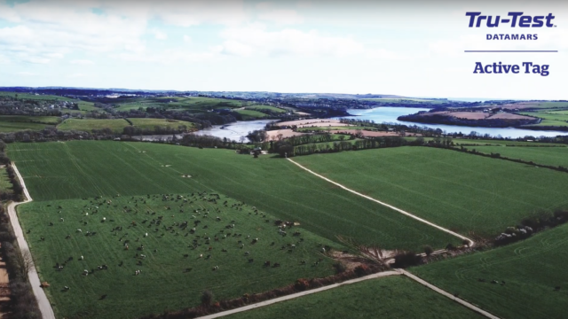 Kinsale based dairy farmer discusses how technology has revolutionised his livestock management