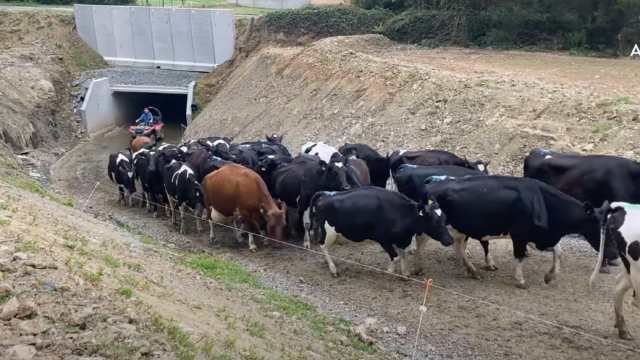 Infrastructure Focus: Opening up safe and easy access to 170ac with an underpass in Co. Cork