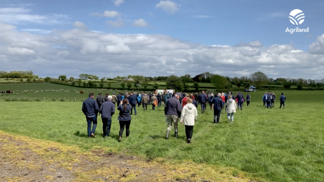 IGA sheep conference and farm walk, Thursday May 19