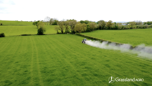 What to Consider Before Adding Clover to Your Sward