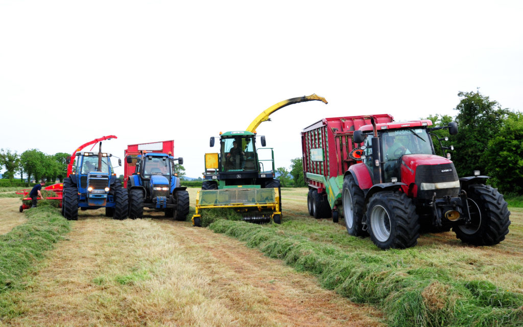 Taarup forage harvester Pat Hughes