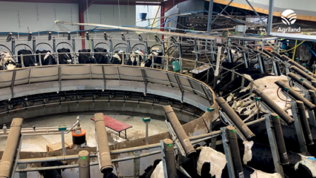 44-bail GEA rotary parlour in action in Co. Cork