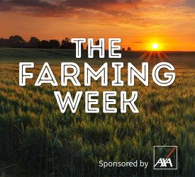 The Farming Week: Beef Scheme, Dawn Meats deal and Asian hornet