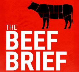 The Beef Brief: Live from Ploughing 2025