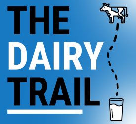 The Dairy Trail: Pedigree Holsteins, embryo transfers &amp; 680kg/MS/cow in Co. Meath