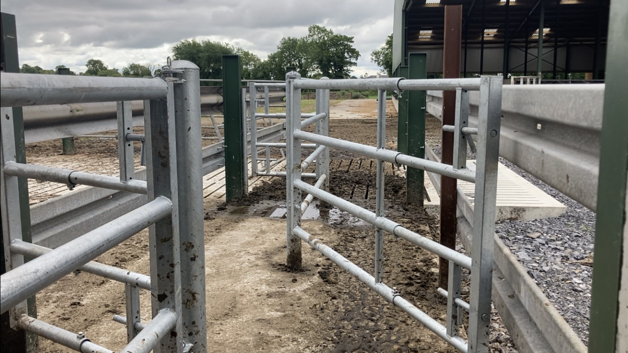 Heydon to ‘move quickly’ to ‘refine’ TB Eradication Programme