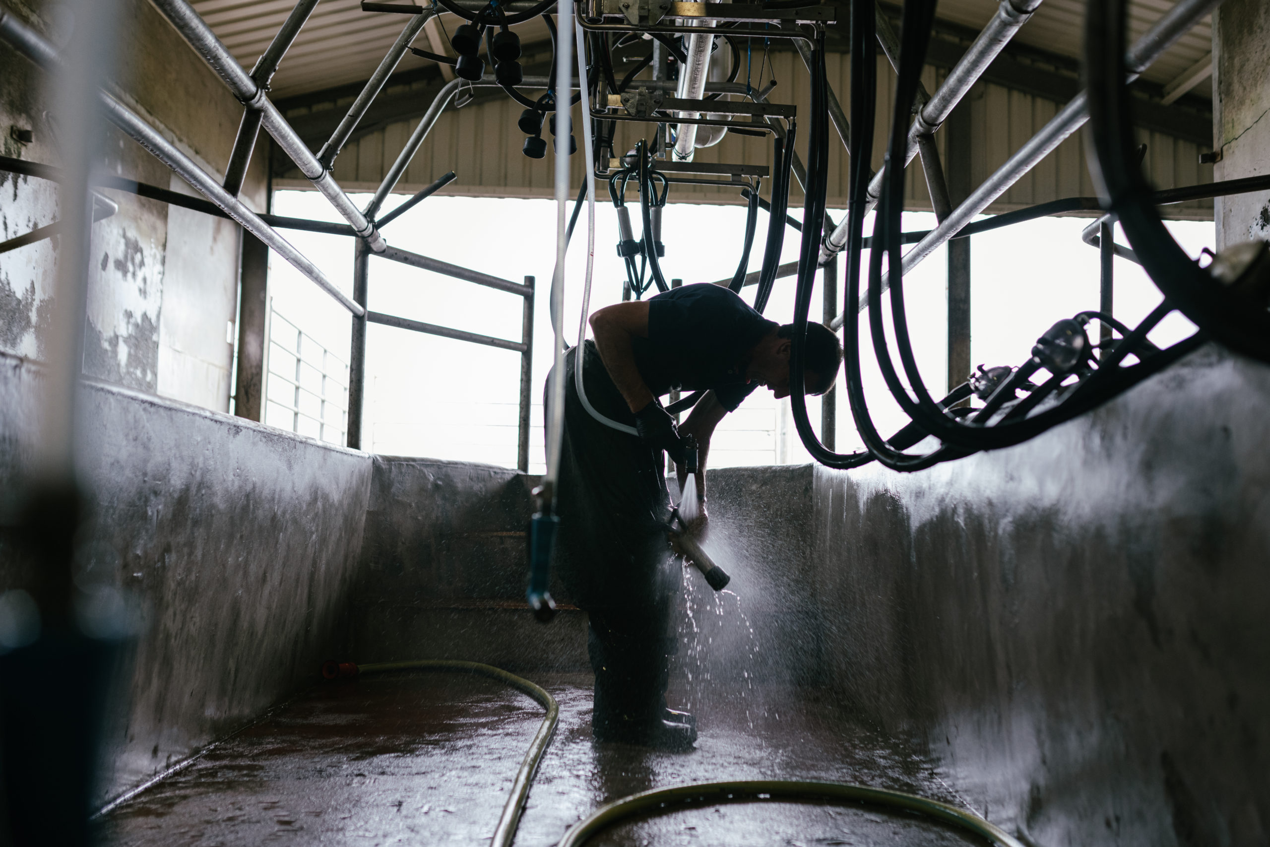 Quality Milk Awards series: From pharmacy to parlour
