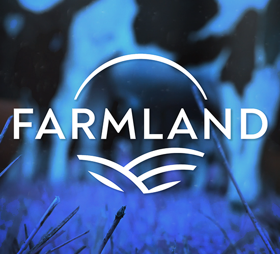 Farmland Podcast: Dairy Industry Ireland’s Conor Mulvihill on the Food Vision Dairy Group final report