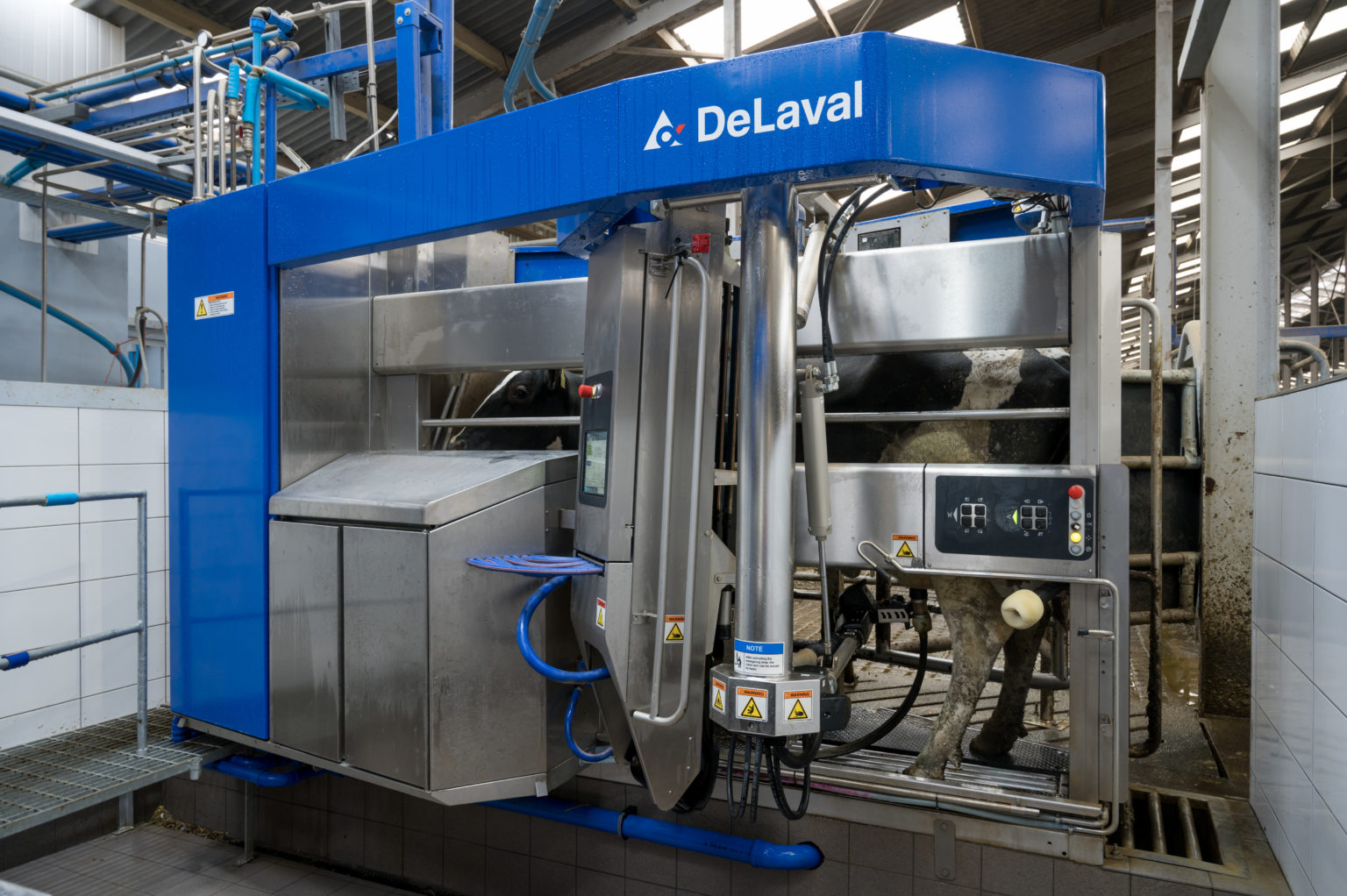 the-benefits-of-combining-robotic-milking-and-grazing-agriland-ie