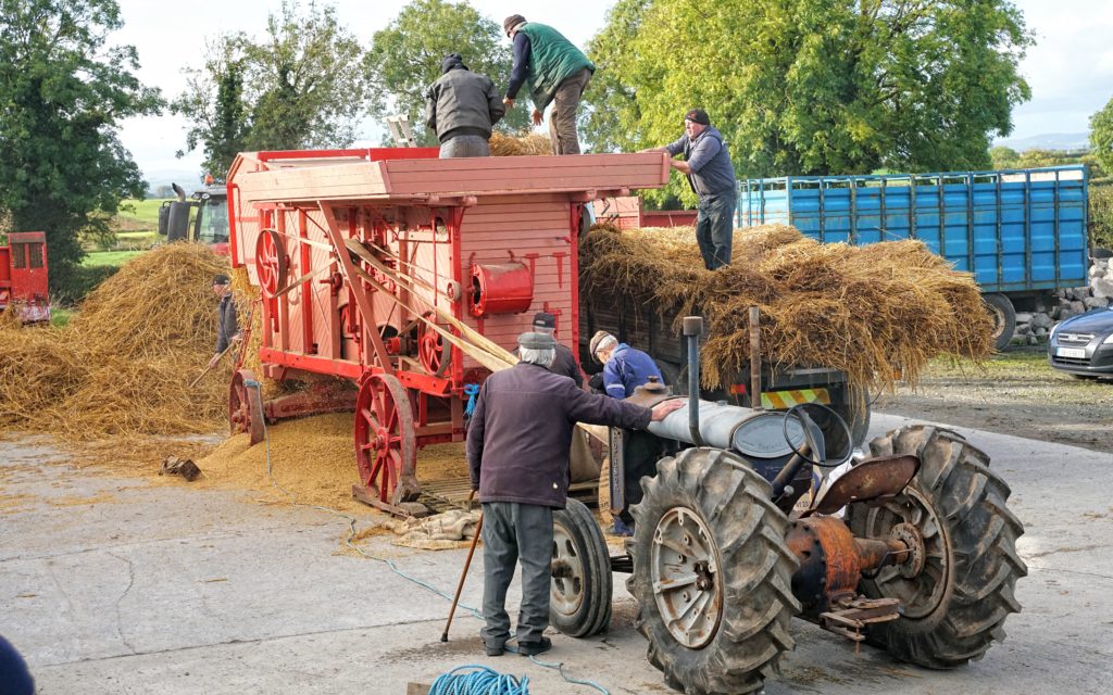 Stationery thresher drum