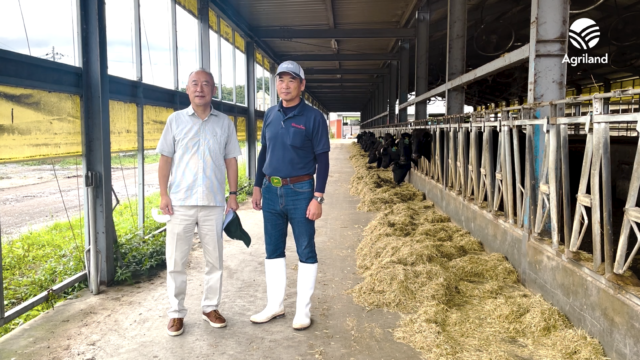 Agriland visits a ‘mega farm’ in Japan