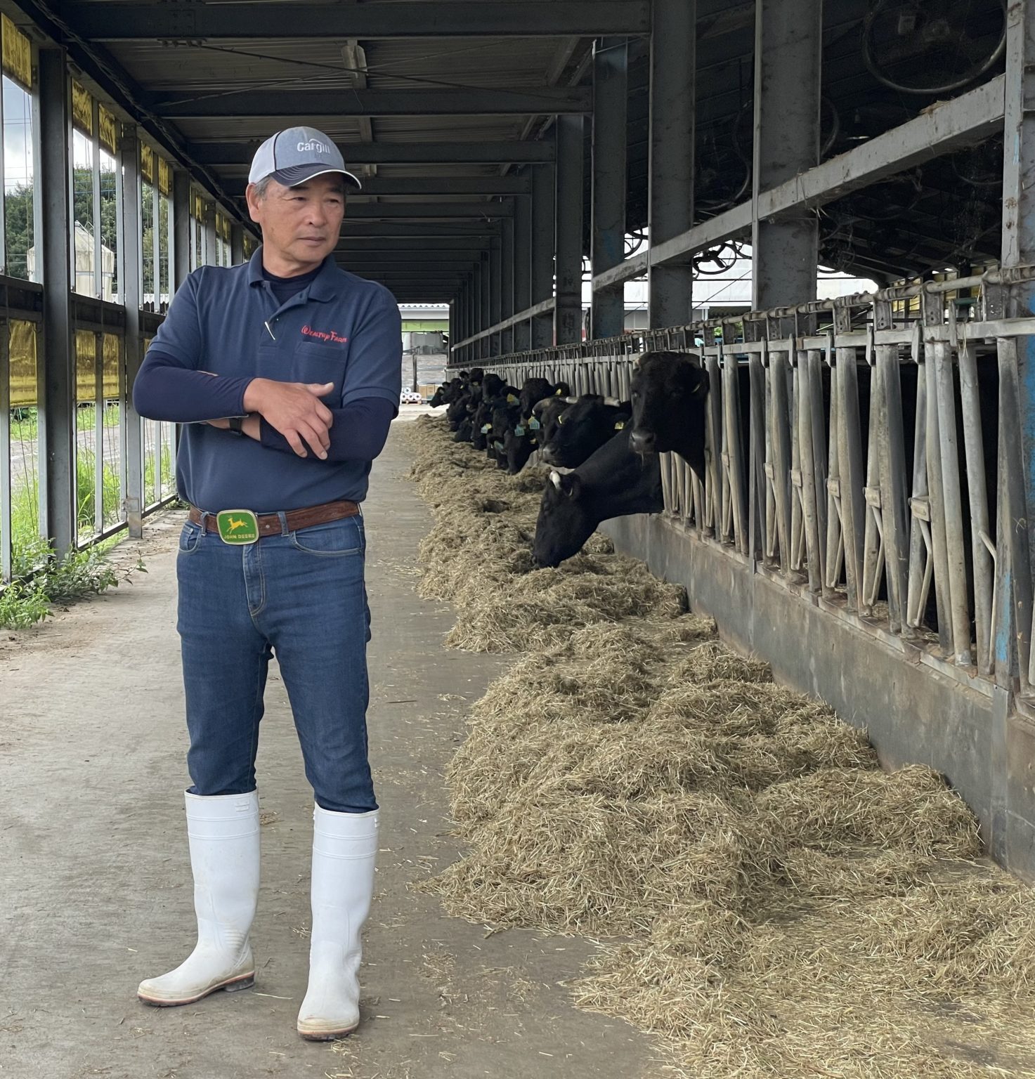 Video Japanese ‘mega farm’ produces milk and Wagyu beef