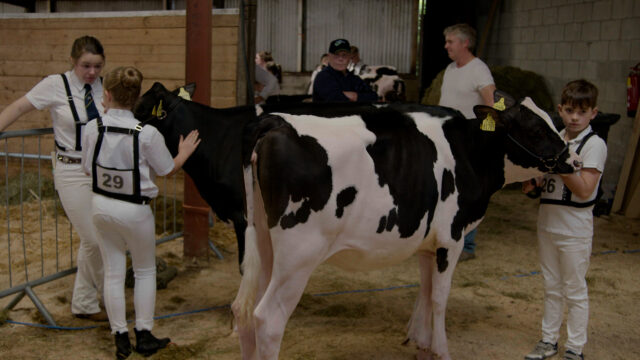 The National Dairy Show - A Friday to remember!