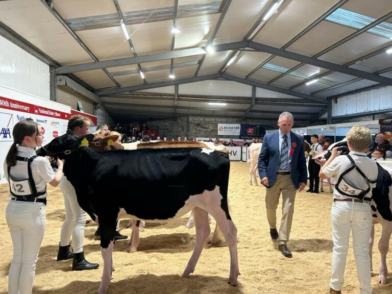 National Dairy Show Results from day one Agriland.ie