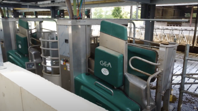 Robotic milking gives Kilkenny farmer ‘relaxed life’
