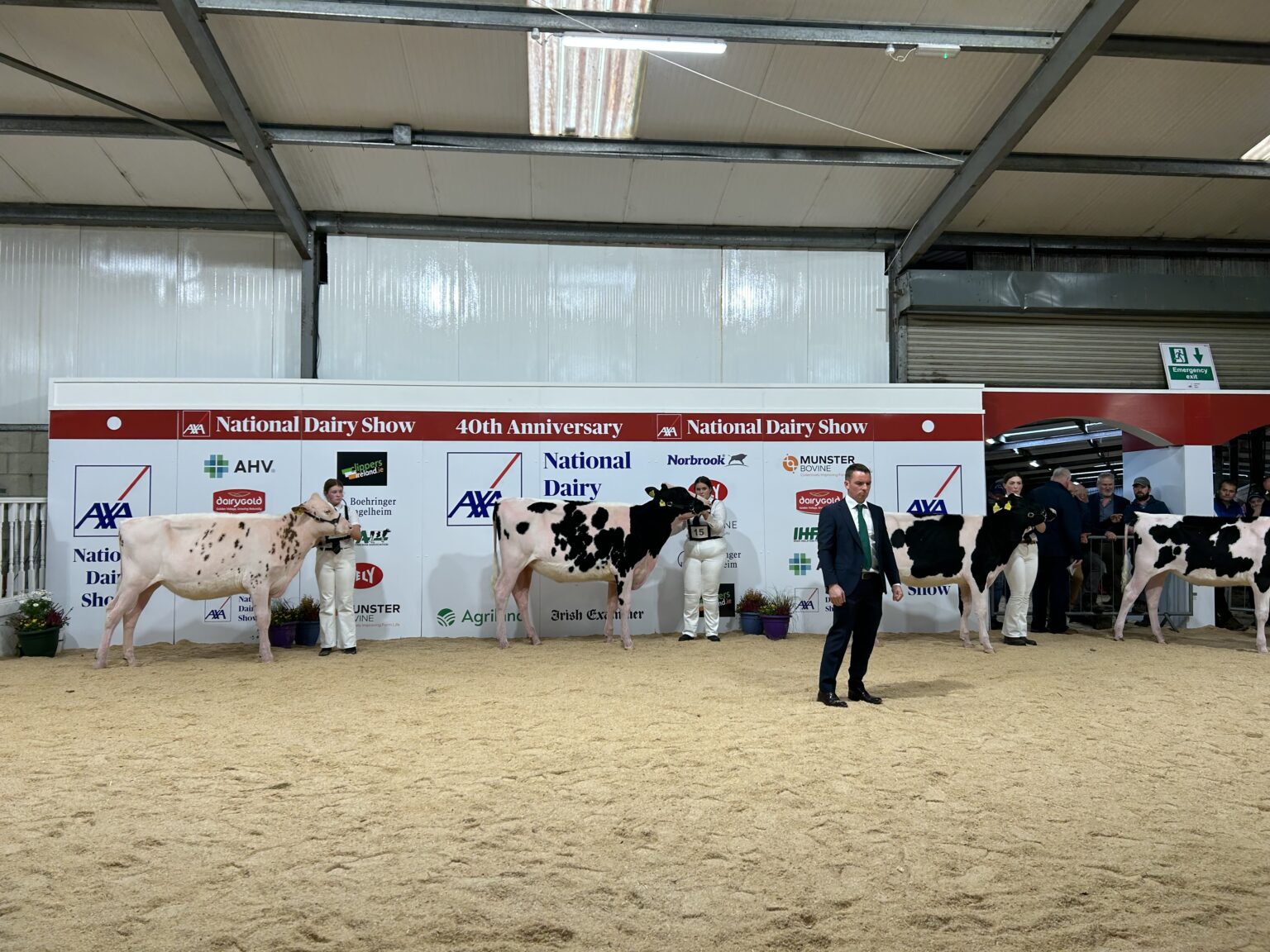 National Dairy Show Results from day one Agriland.ie