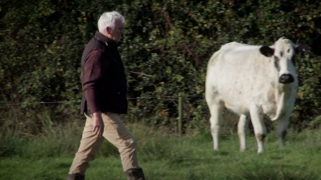 Pedigree Limousin farm saves over €8k using Supersoil