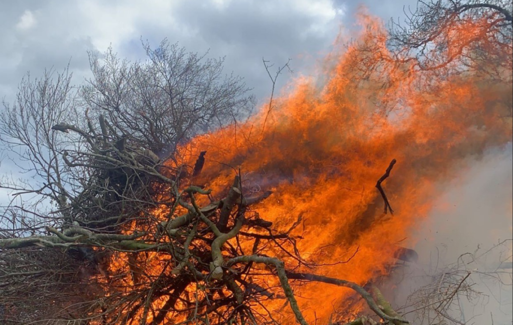 Farmers to be allowed burn bushes between certain dates this year