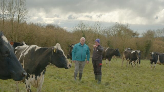 Breeding Series 2023 Long term development, not short term gains