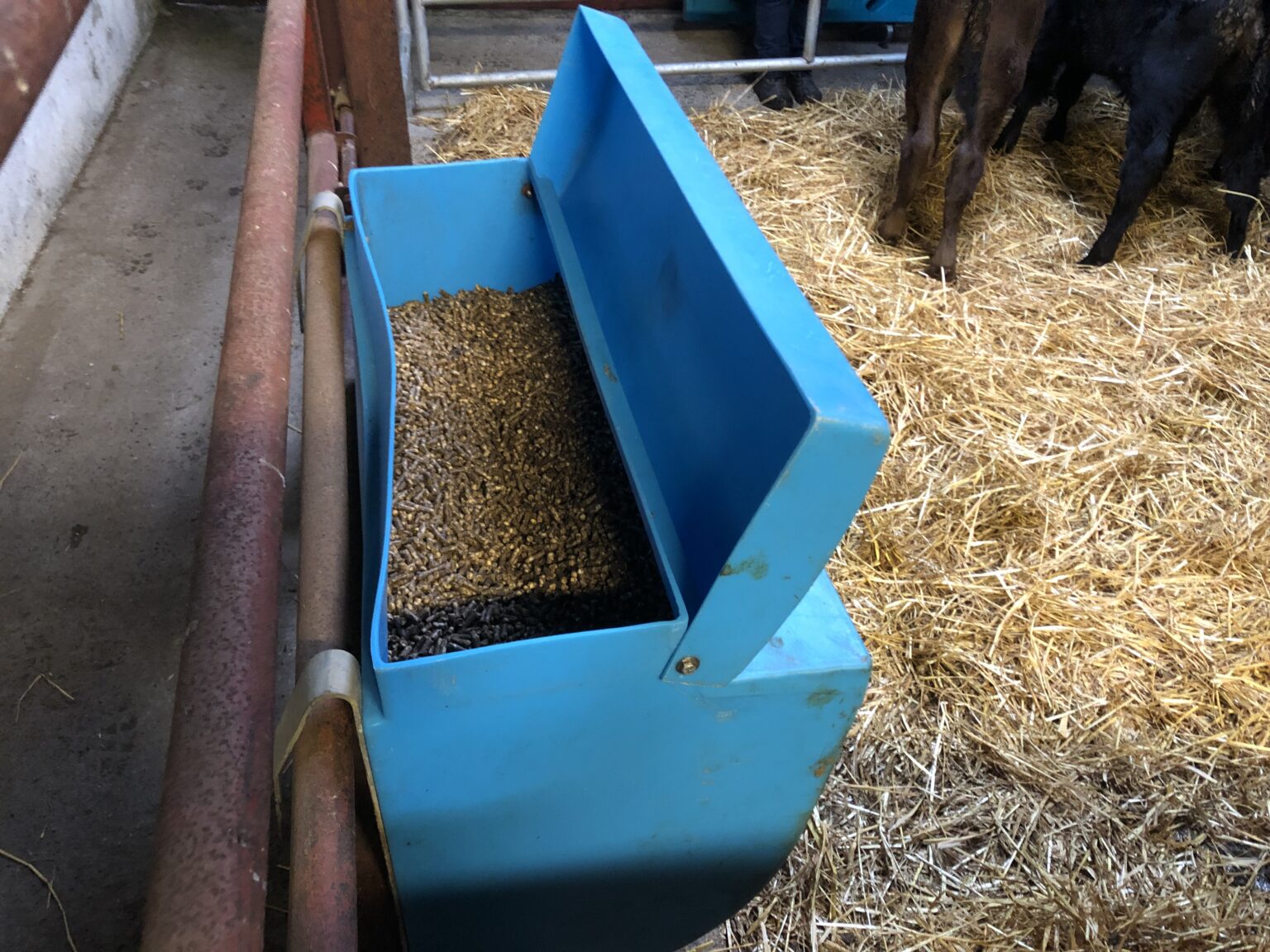 Beef Focus Tidy calfrearing setup on Tipperary beef farm