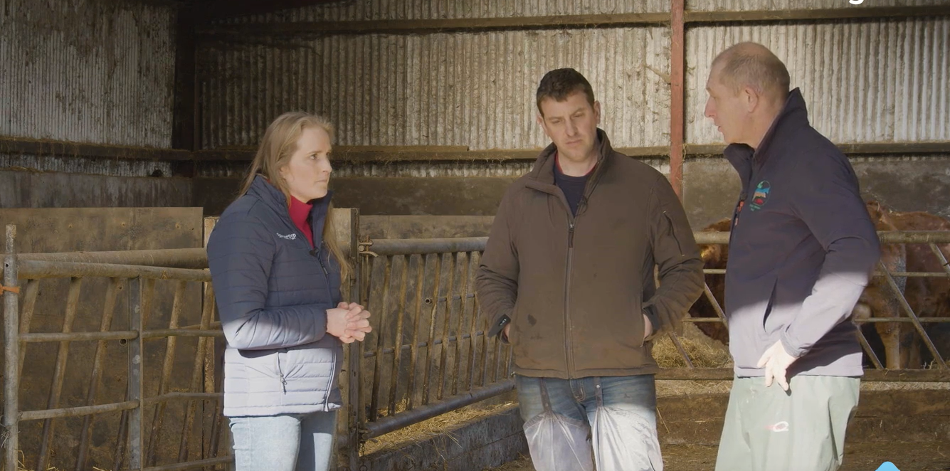 March Animal Health Series: Preventing and controlling coccidiosis
