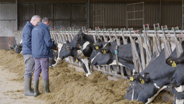 Breeding Series 2023: Increasing combined fat and protein by 182kg in 12 years