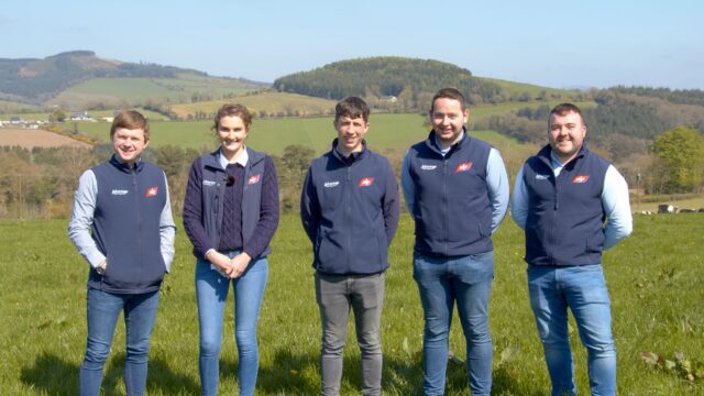 Advantage Spring Dairy-Beef Series set to focus on improving dairy-beef genetics