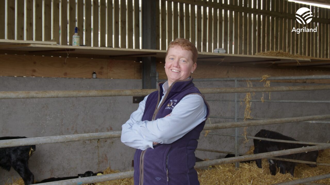 George Goes Dairy Farming: Season 4 continues in Longford - Agriland.ie