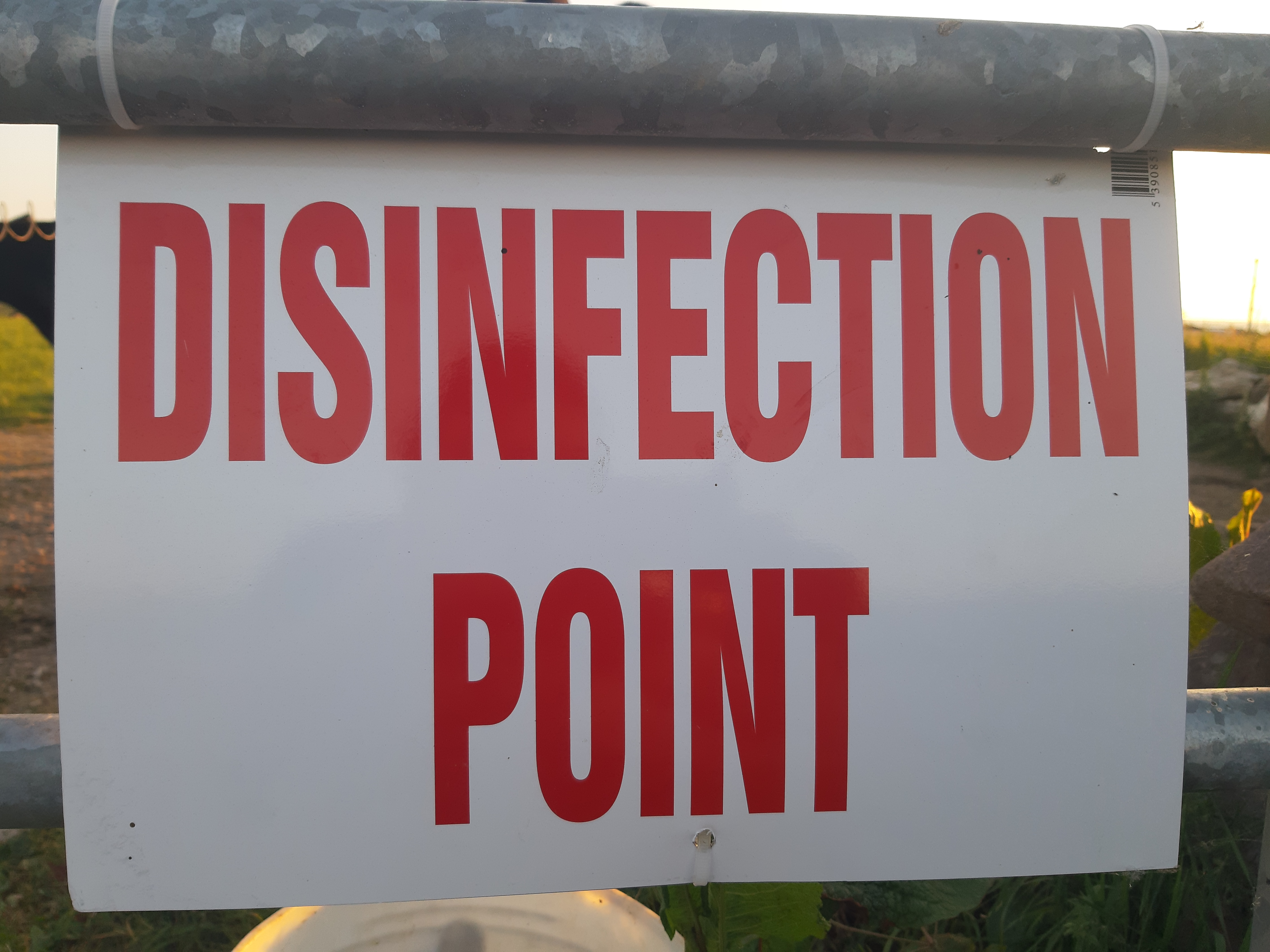Numbers of BVD-positive herds on a downward trend