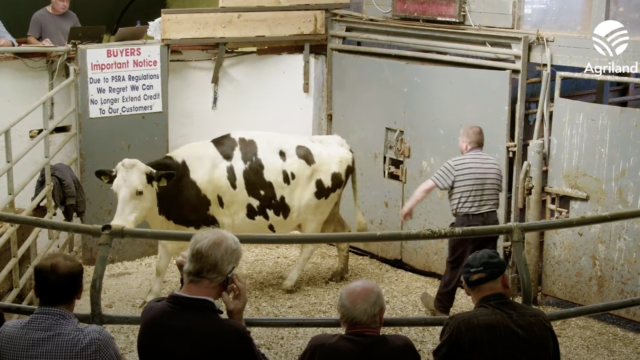 Farmers views on rewetting at Delvin mart