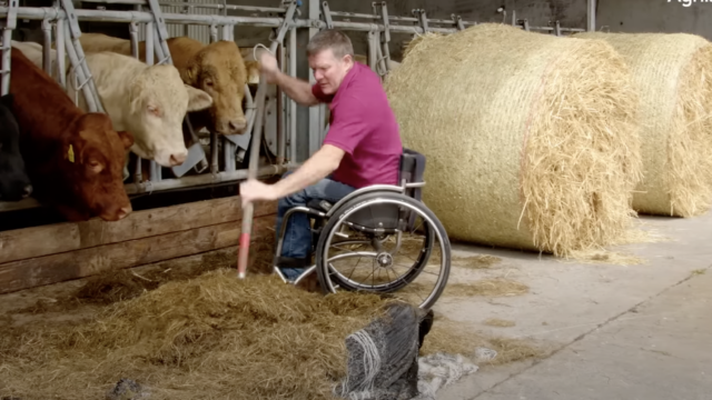 Sligo suckler farmer's system set up to suit.