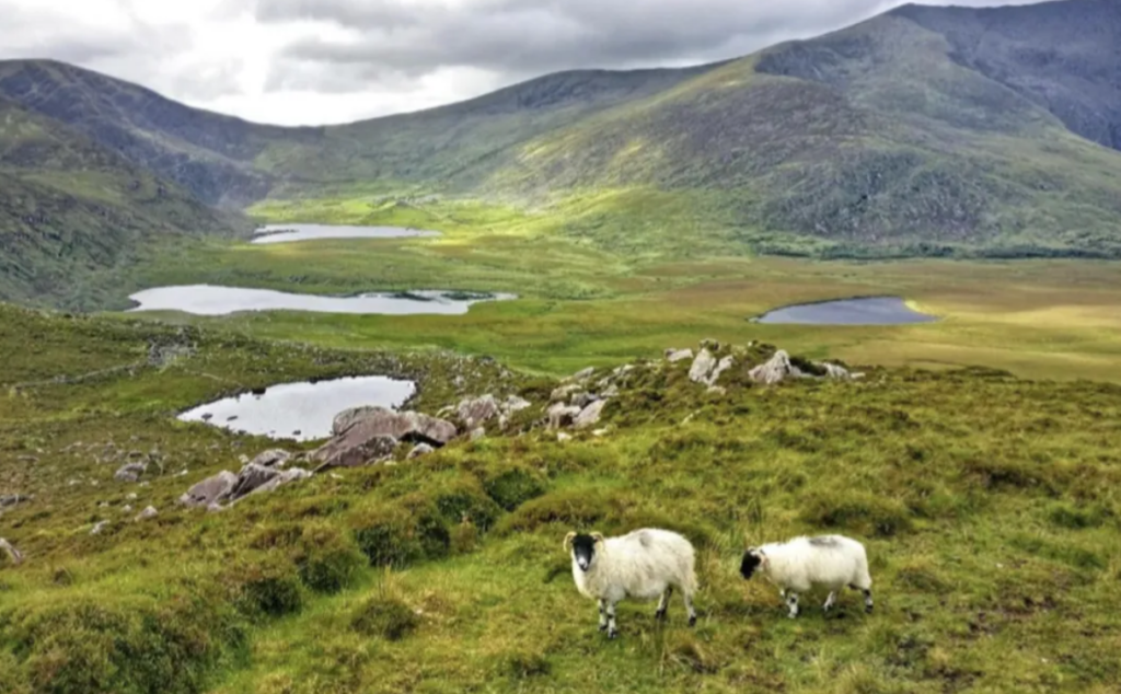 New national park to be launched in west Kerry - Vimarsana News