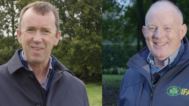 IFA presidential candidates on why they want the job