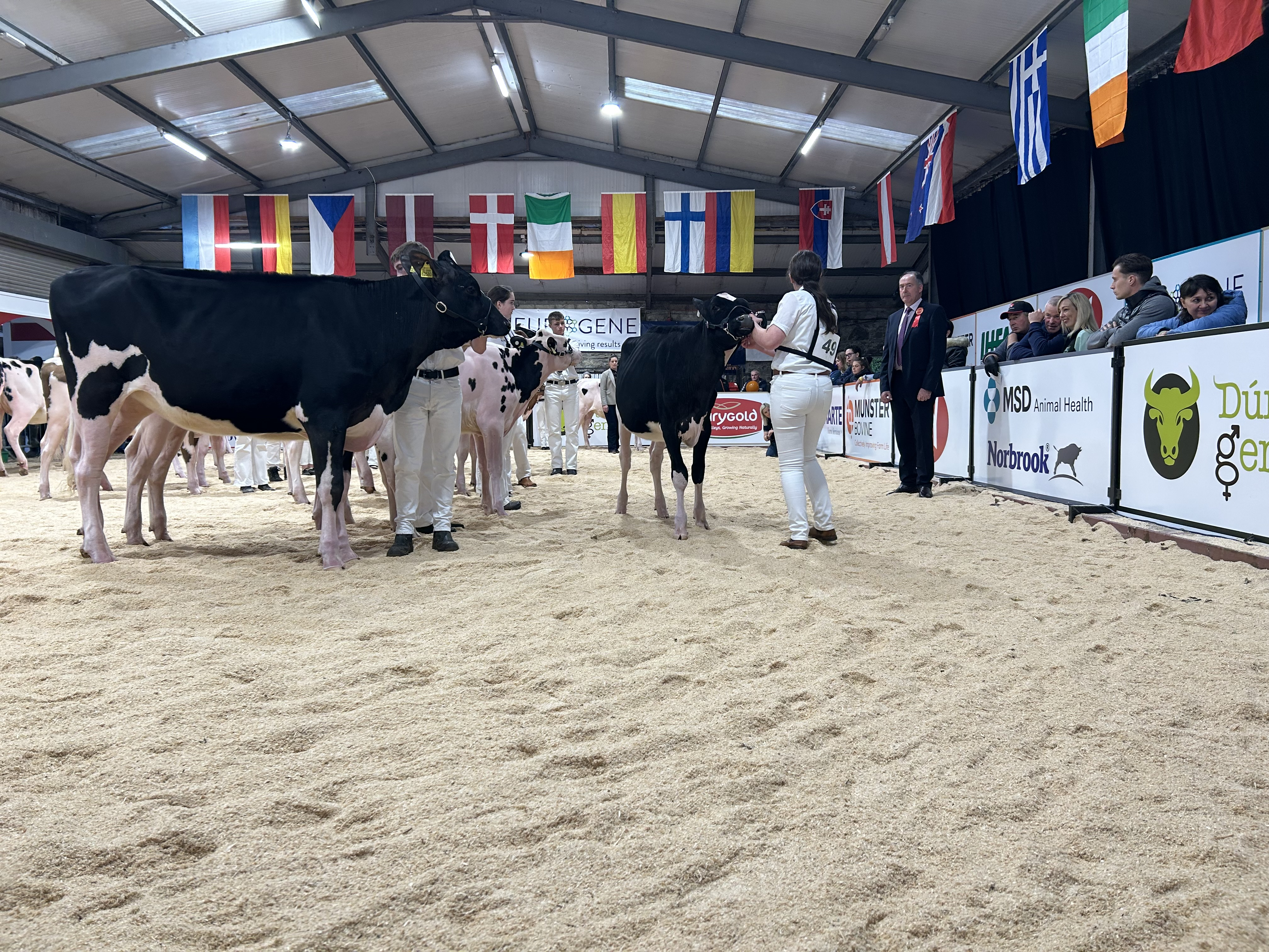 AXA National Dairy Show: Results from day one