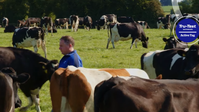 Technology increases efficiency and reduces labour for Co. Tipperary farmer