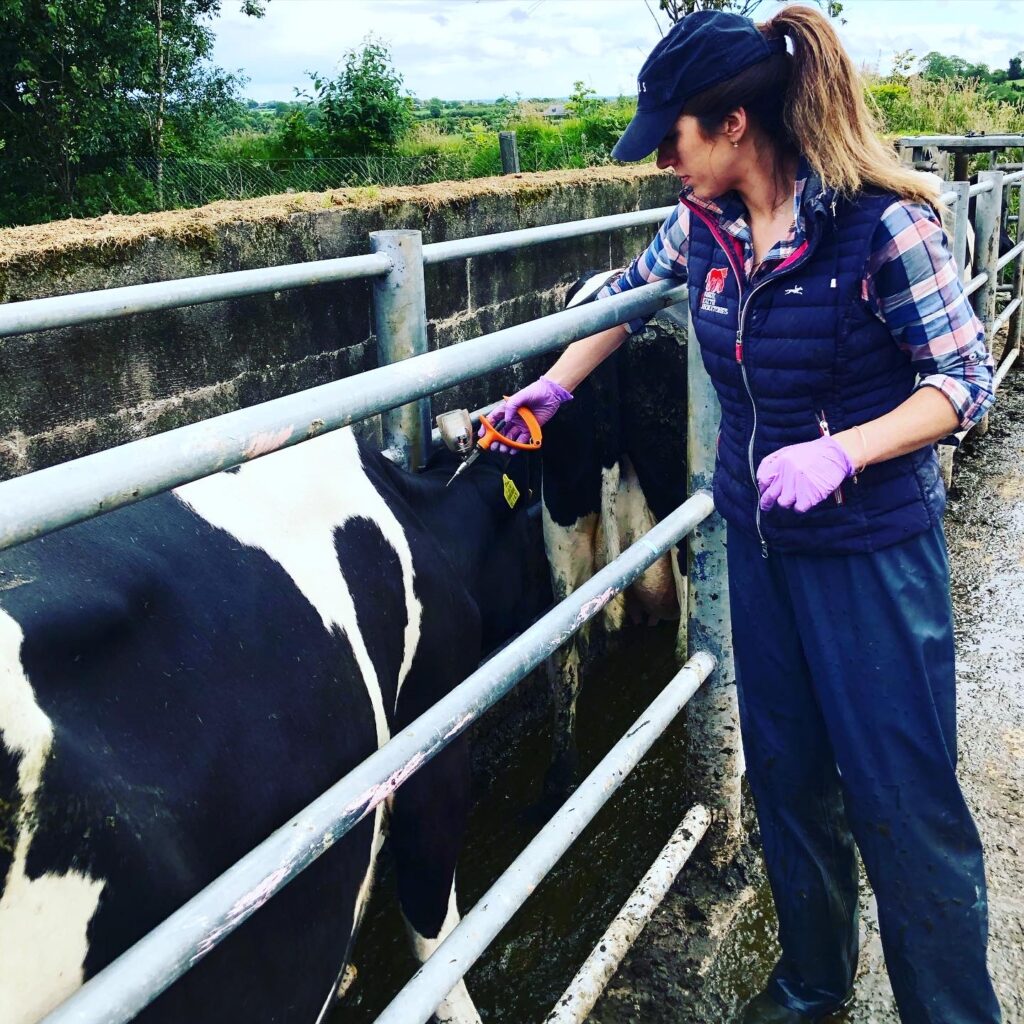 Farmers take preventative approach Veterinary Ireland president