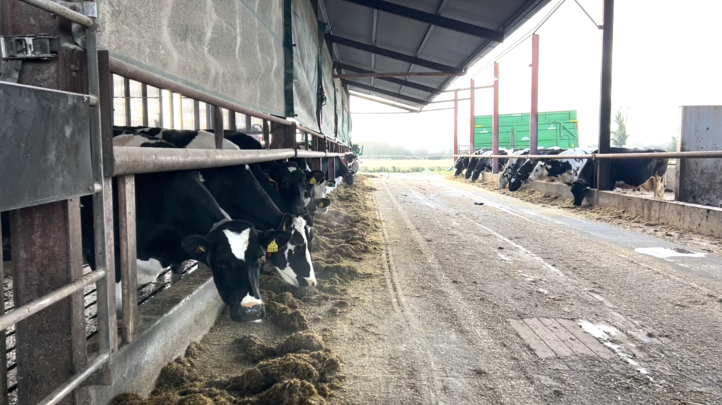 Dairy Focus: Offaly での収容システムの運用