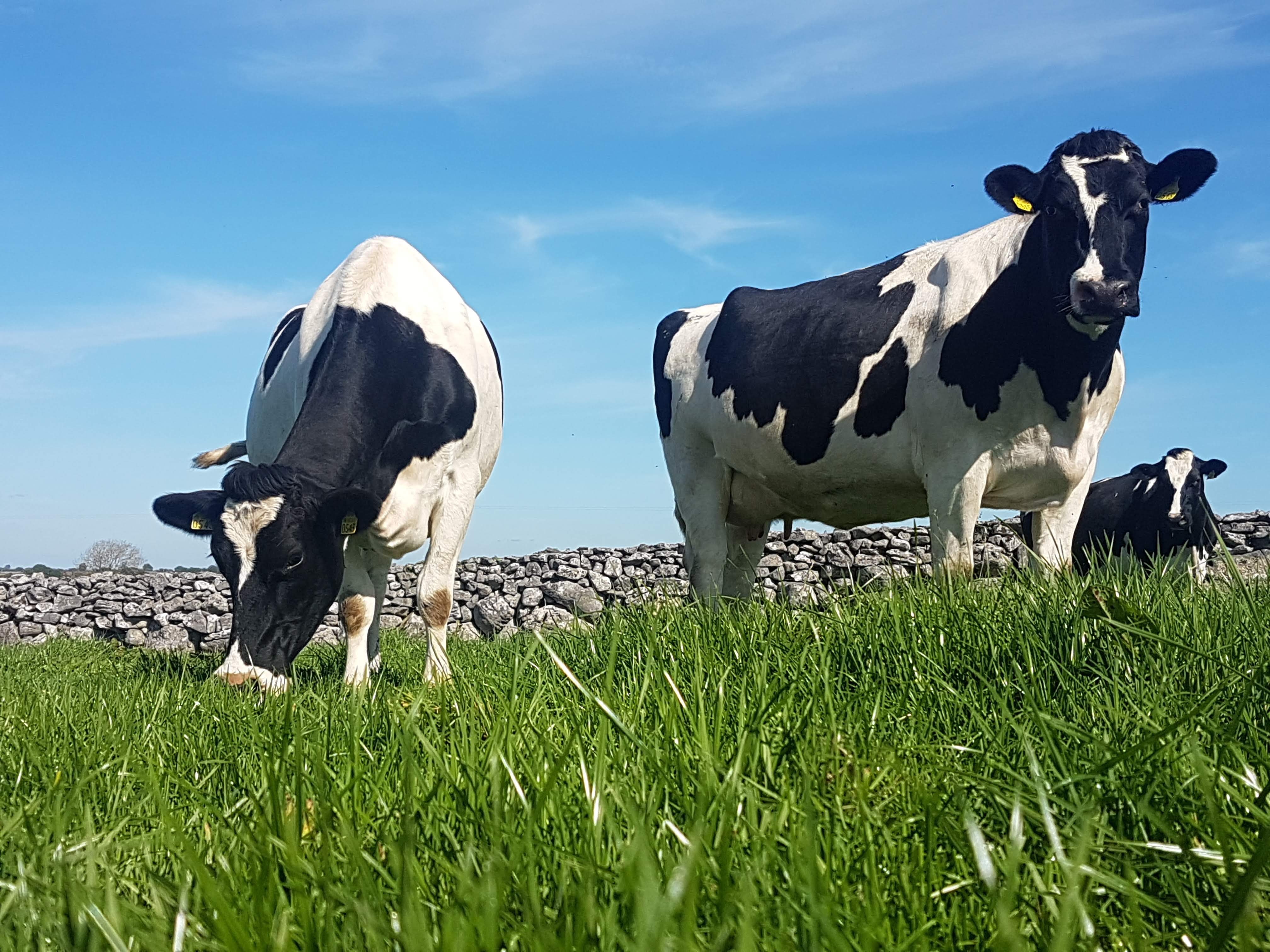 Terra Range Series to highlight practical solutions for farmers