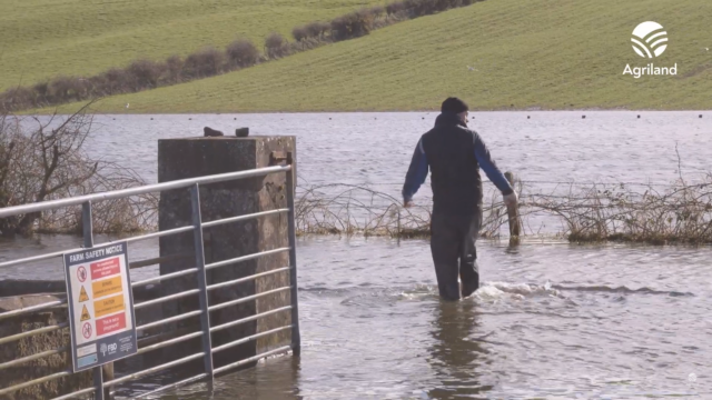 Farmers’ heartbreak over flooding at Lough Funshinagh